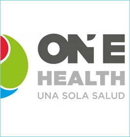 PLATAFORMA ONE HEALTH