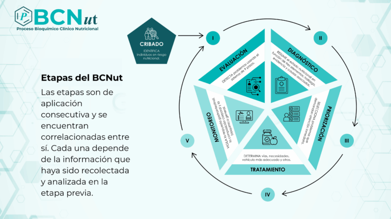 Etapas del BCNut